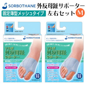 yz܂ z\{ OT|[^[ Œ蔖^bV^Cv EZbgM ( Œ蔖^bV^Cv Vo[O[ p M ×1 { Ep M ×1 )