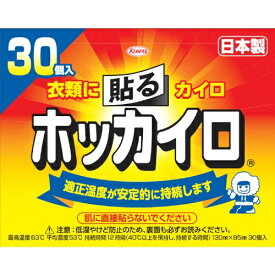 【送料無料】興和 ホッカイロ 貼るレギュラー30個 1個