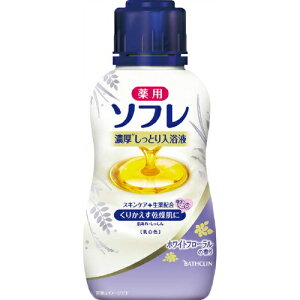 oXN \t ZƂt Wt[ 480ML { 򕔊Oi ( ܁EێE )