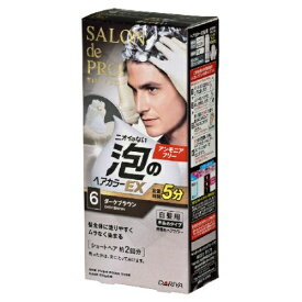楽天市場 白髪染め 男性用 泡の通販