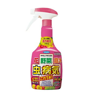t}L[ J_vXDX 450ml |pEEۍ