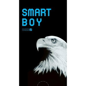 y×2 z܂zIJg X}[g{[C 12