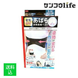 【送料込】中山式産業 あばら 姿勢胸椎ベルト S-M ブラック 1個
