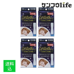 y×4 [֑zRC 肨₷݃e[v 36 т