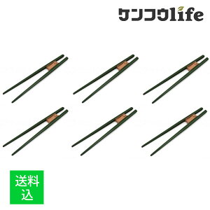 y×6 [֑zECh  ܂  OT-9 