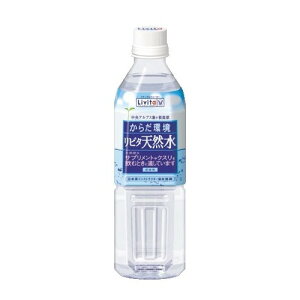 y×24Zbgz吳 r^ VR 500mL 1P[X