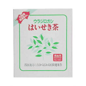 【送料無料・2個セット】ウラジロガシ はいせき茶 煎出用 10g×40包