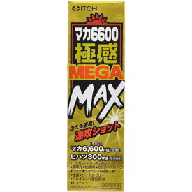 【送料無料】井藤漢方製薬 マカ6600極感MEGA MAX 50ml　4987645497296