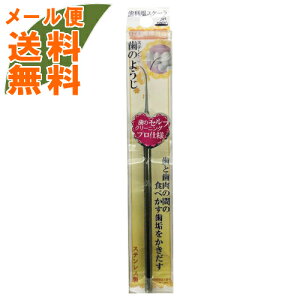 y1100~ |bLzyz܂zAkV XeX̂悤 OL-011 1{ 1(4544434511061)