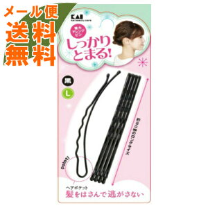 【メール便送料無料】KQ3119 強力アレンジピン L 黒 1個しっかりとまる(4901601303940)