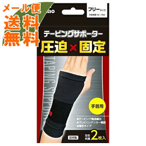 y[֑zG e[sOT|[^[  t[TCY 2 1