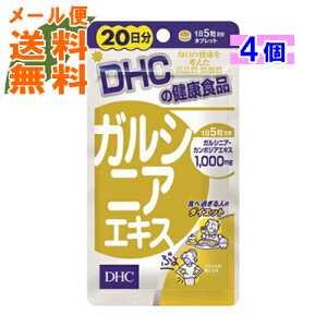 y×4 [֑zDHC NEW KVjAGLX(20) 100