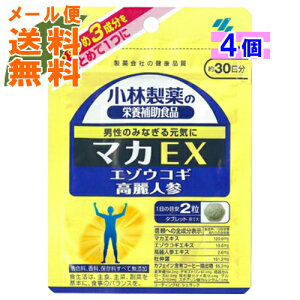 y×4 [֑zѐ }JEX 60