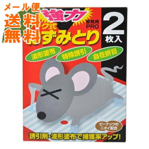 y[֑zΏtm wLT`  ubN ˂݂Ƃ 2 1