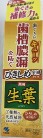 小林製薬 ひきしめ生葉 100g 医薬部外品 ( 歯周・口臭予防病歯磨き オーラルケア )