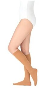 y[֑zAPA@AVN 2 nC\bNX CguE@MTCYyeXgbLO@×pzyXgbLOz@@(4900070184630)MTCYF19`23cm ӂ͂