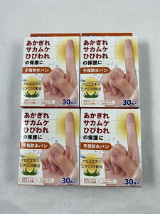 y×4@[֑zG w ho 30 ETJPEЂъ̕ی (4955574817508)
