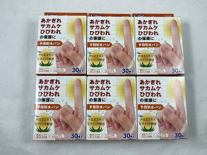 y×6@[֑zG w ho 30 ETJPEЂъ̕ی (4955574817508)