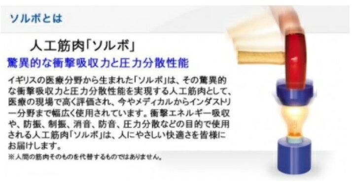 三進興産 ソルボ ソルボライト L:26.5cm〜27.5cm (61463 (1足)靴の中敷 スポーツ用 ソルボ(4961928614631) ケンコウlife ソルボライト L(26.5~27.5cm) 61463