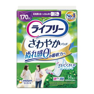 jE`[ Ct[ ₩pbh ԁEłSp 14