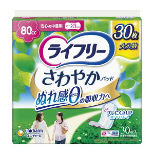 jE`[ Ct[ ₩pbh 80cc S̒ʗp 30 23cm ( ACɂȂ )