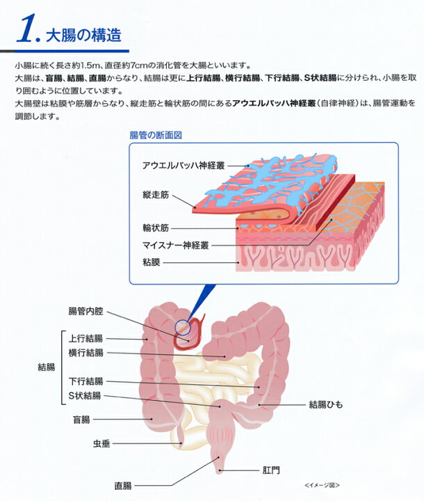 楽天市場】【×6個 配送おまかせ送料込】【第2類医薬品】田辺三菱製薬 セレキノンS 20錠入※セルフメディケーション税制対象 : ケンコウlife 楽天市場】【×6個 配送おまかせ送料込】【第2類医薬品】田辺三菱製薬 セレキノンS 20錠入※セルフメディケーション税制対象 : ケンコウlife