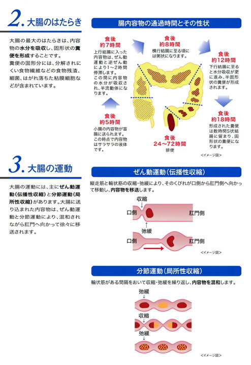 楽天市場】【×6個 配送おまかせ送料込】【第2類医薬品】田辺三菱製薬 セレキノンS 20錠入※セルフメディケーション税制対象 : ケンコウlife 楽天市場】【×6個 配送おまかせ送料込】【第2類医薬品】田辺三菱製薬 セレキノンS 20錠入※セルフメディケーション税制対象 : ケンコウlife