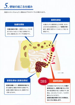 【メール便送料込】【第2類医薬品】田辺三菱製薬セレキノンS20錠入4987128289721