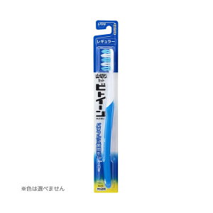 y1100~ |bLzy×6 z܂zCI rgC[CI M[ 炩 1{ F͑Iׂ܂