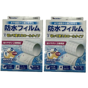 y×2 z܂ziÊ [_[ htB[ 5cm×2M 1