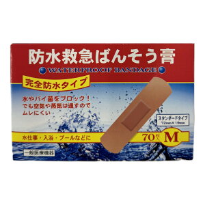 yz܂ziH h~}΂񂻂p Sh^Cv MTCY 70 Jnp 1