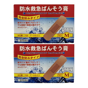 y×2 z܂ziH h~}΂񂻂p Sh^Cv MTCY 70 Jnp