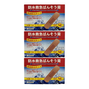 y×3 z܂ziH h~}΂񂻂p Sh^Cv MTCY 70 Jnp