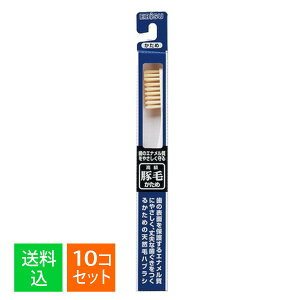 y×10Zbg [֑zGrX ؖ uV350  1{