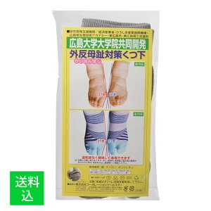 y[֑zR[|[Vp[X^[ O΍ C O[ 24-25cm 1