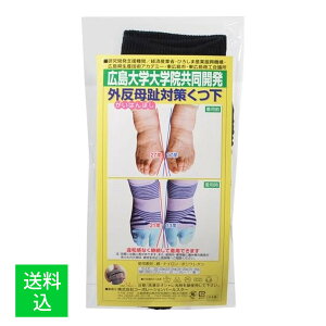 y[֑zR[|[Vp[X^[ O΍ C  22-23cm 1