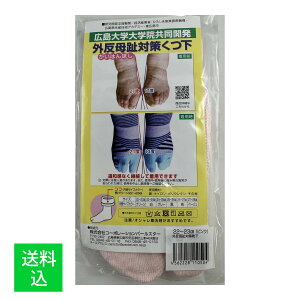 y[֑zR[|[Vp[X^[ O΍ C sN 23-24cm 1