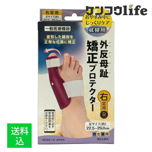 yz܂zTCvX vXEH[N O veN^[ Ep jp 1 