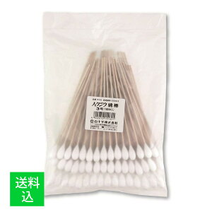 yz܂z\ nNWE Ȗ_ 3 100{ Ȓa10mm 1