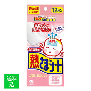 yzѐ M܃V[g Ԃp 12 1