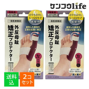 y×2 z܂zTCvX vXEH[N O veN^[ p jp 