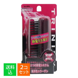 【×2個 配送おまかせ】ベス工業 ベス 静電気防止 ブラシ TY-780 トリニティー 折りたたみ 1本入