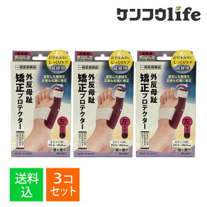 y×3 z܂zTCvX vXEH[N O veN^[ p jp 