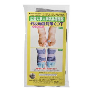 R[|[Vp[X^[ O΍ C O[ 22-23cm