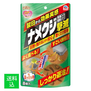 y[֑zA[X A[XK[f iNW e 쏜 GT^Cv 8 1