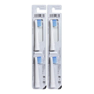 y×2Zbg [֑zI gduVp CuV iSB-172j 2{