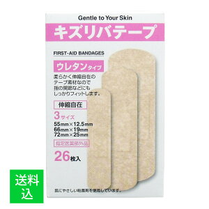 y[֑ziH LYoe[v E^^Cv 3TCY 26 1