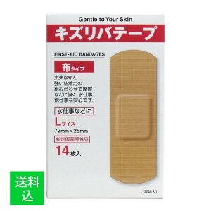 y[֑ziH LYoe[v z^Cv Jnp LTCY 14 1