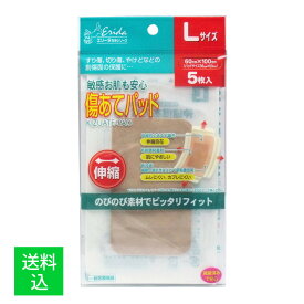 【メール便送料無料】共立薬品工業 敏感お肌も安心 傷あてパッド Lサイズ 5枚入 1個