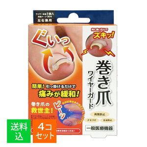 y×4Zbg [֑zTCvX ܃C[K[h (C[{1{+یe[v30)